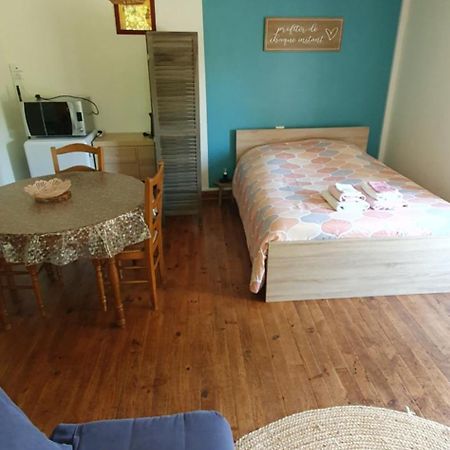 Appartamento Le Studio De Rochavelle Chiché Esterno foto