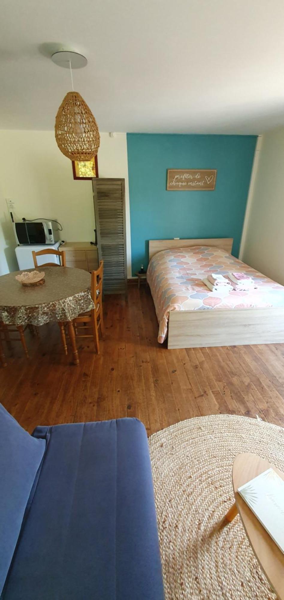 Appartamento Le Studio De Rochavelle Chiché Esterno foto